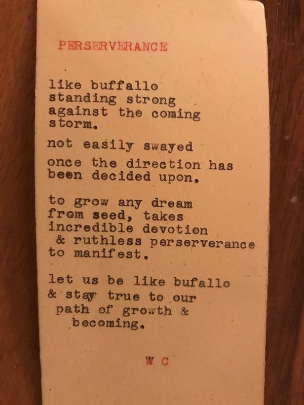 Perseverance Poem-2